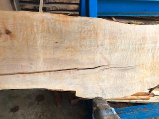 Cedar Slab 57195a