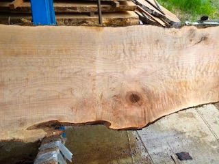 Cedar Slab 57195b