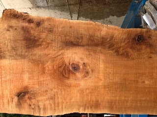 Maple Slab 57251b