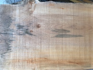 Maple Slab 57793b