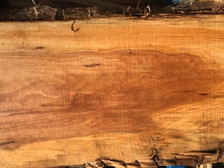 Hemlock Slab 6059a