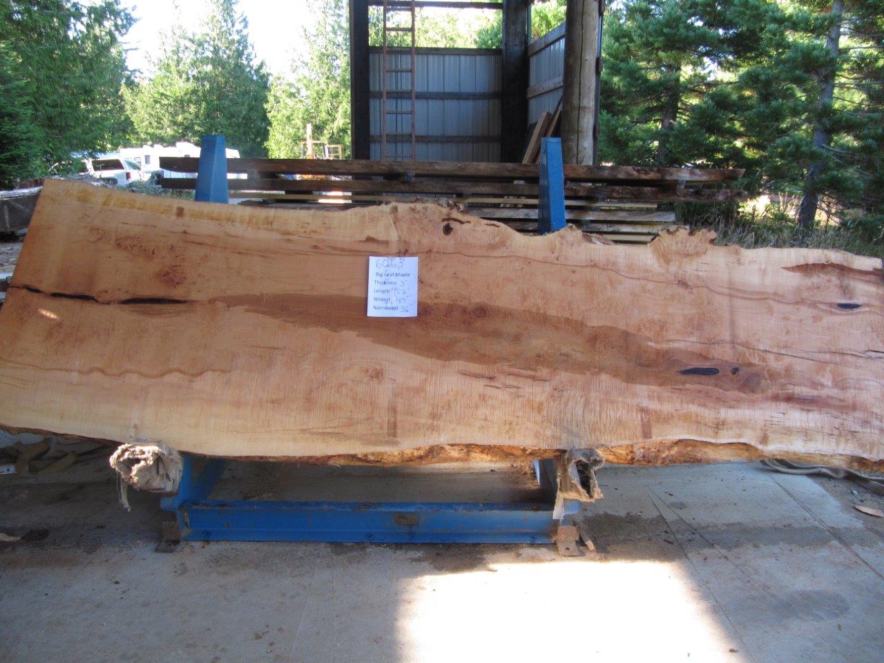 Maple Slab 6063