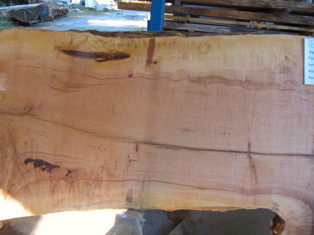 Maple Slab 6064a