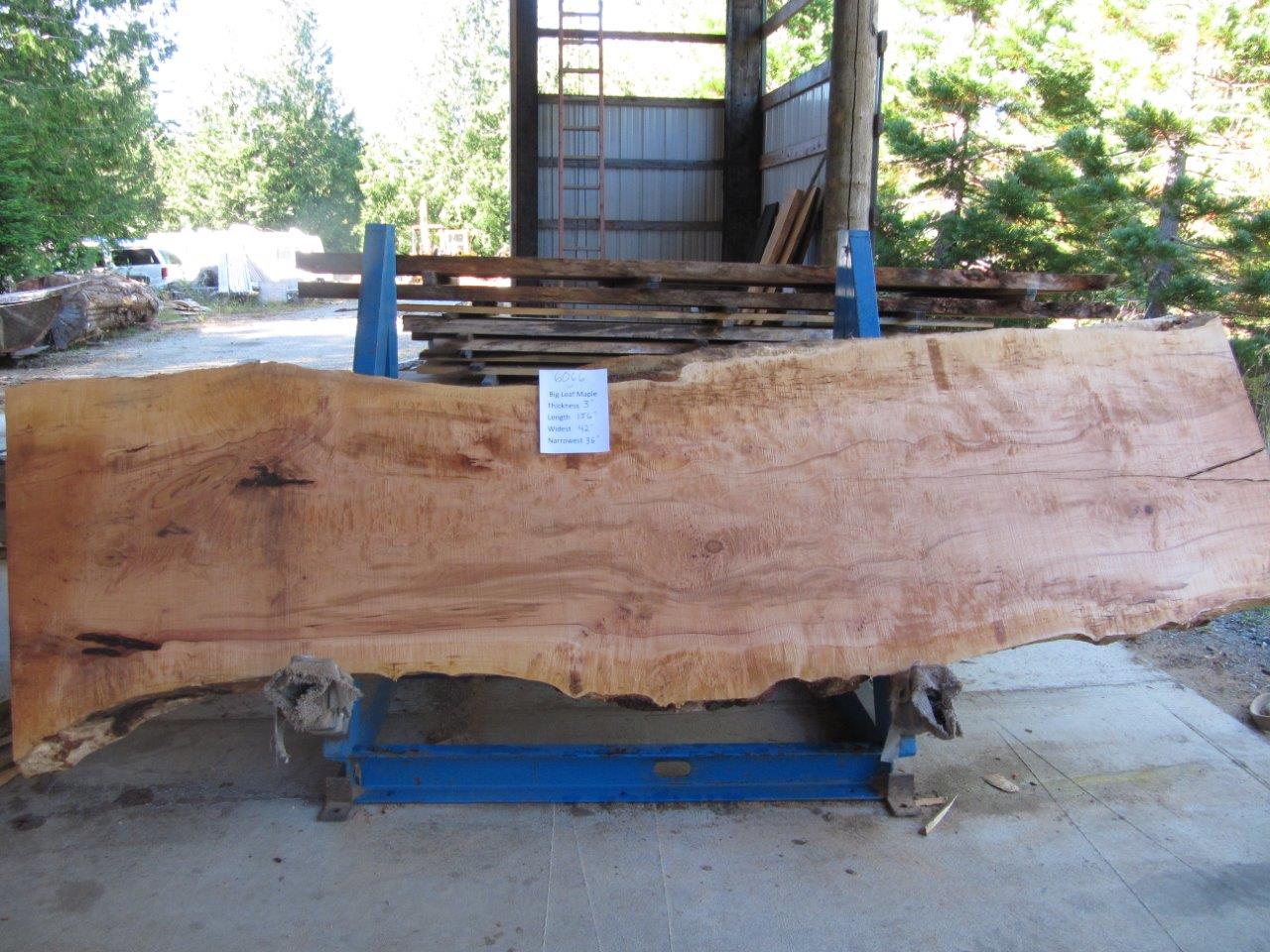 Maple Slab 6066