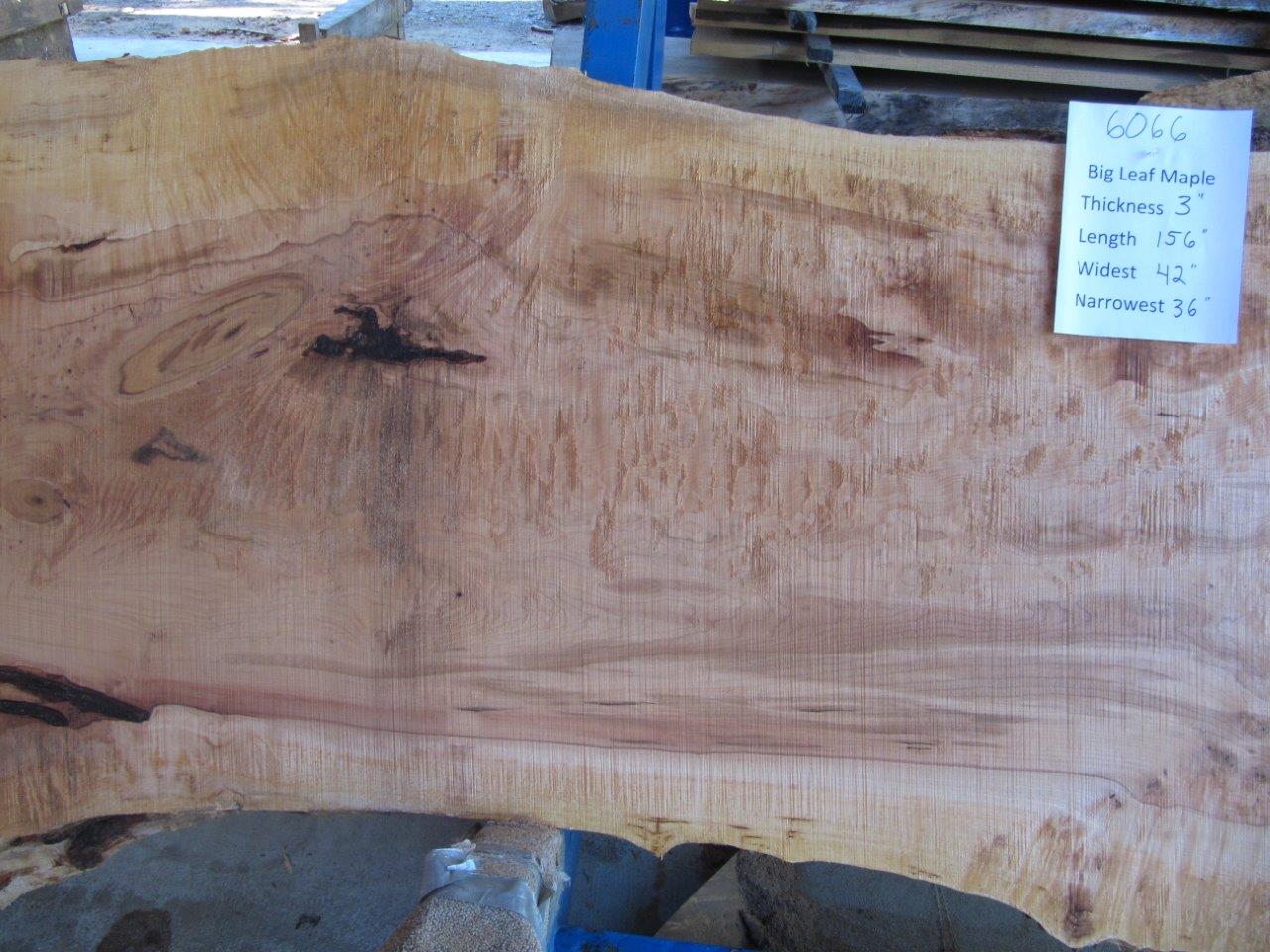 Maple Slab 6066a