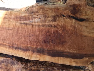 Maple Slab 57798b