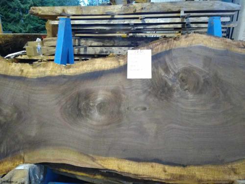 Black Walnut Slab 57259