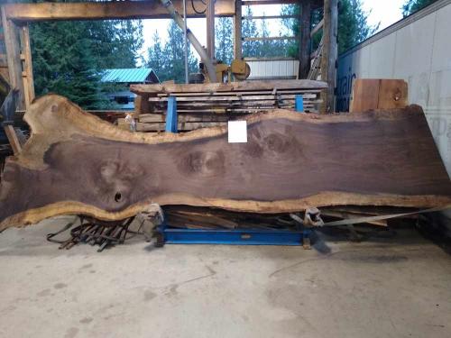 Black Walnut Slab 57261