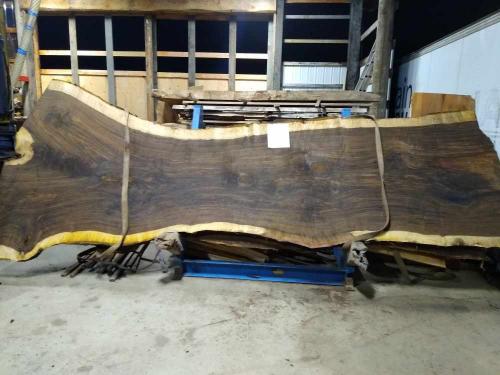 Black Walnut Slab 57263