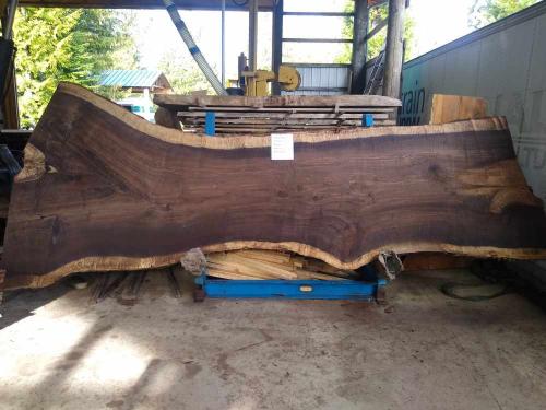 Black Walnut Slab 57264