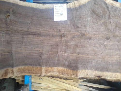 Black Walnut Slab 57265