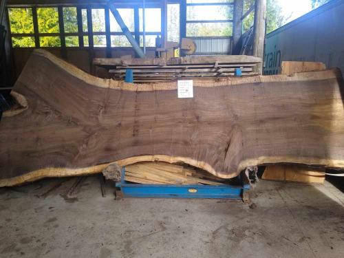 Black Walnut Slab 57265