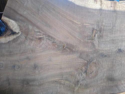 Black Walnut Slab 57265