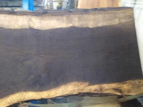 Black Walnut Slab 57268