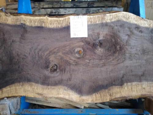 Black Walnut Slab 57269