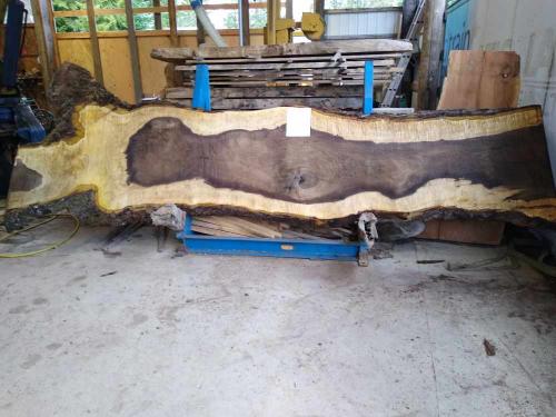 Black Walnut Slab 57269