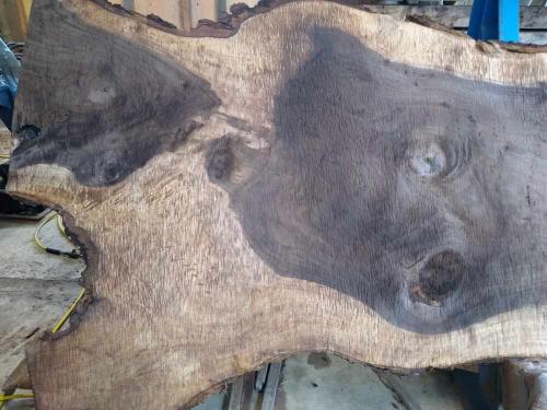 Black Walnut Slab 57269