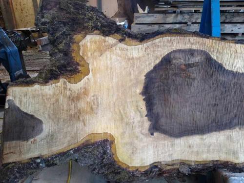 Black Walnut Slab 57269