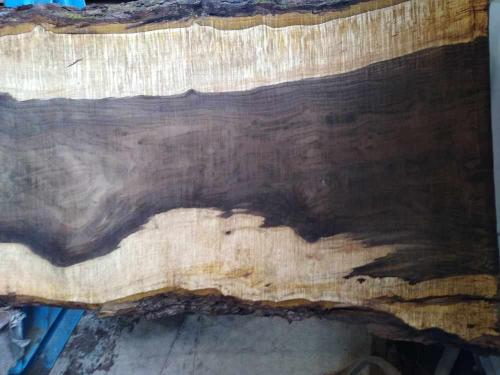 Black Walnut Slab 57269