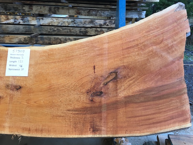 Cedar Slab 57309b