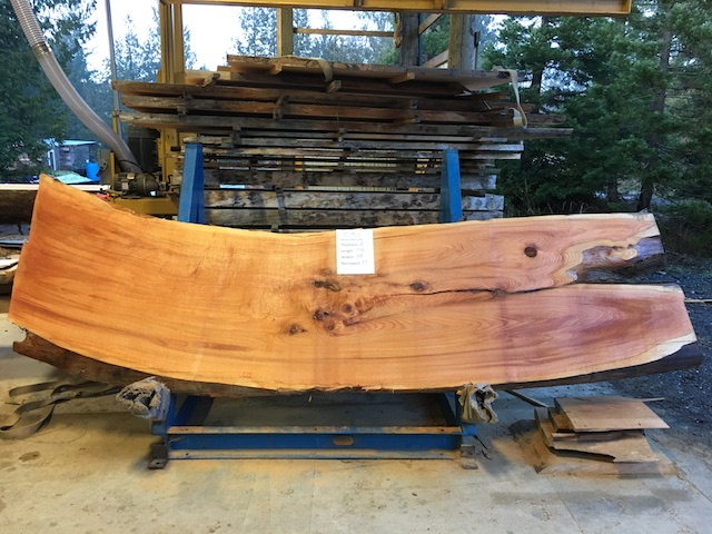 Cedar Slab 57311