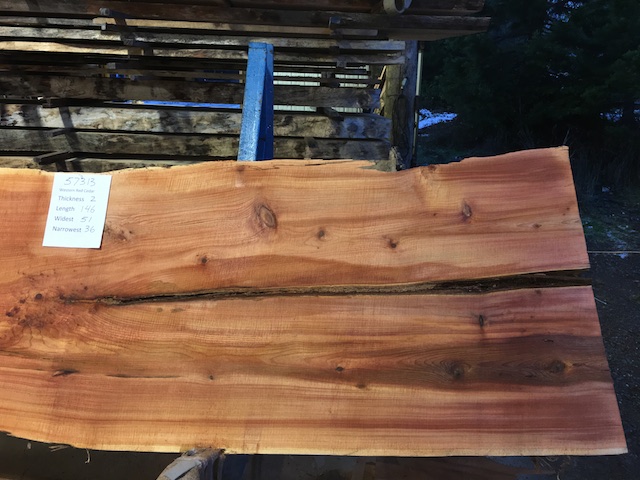 Cedar Slab 57313b