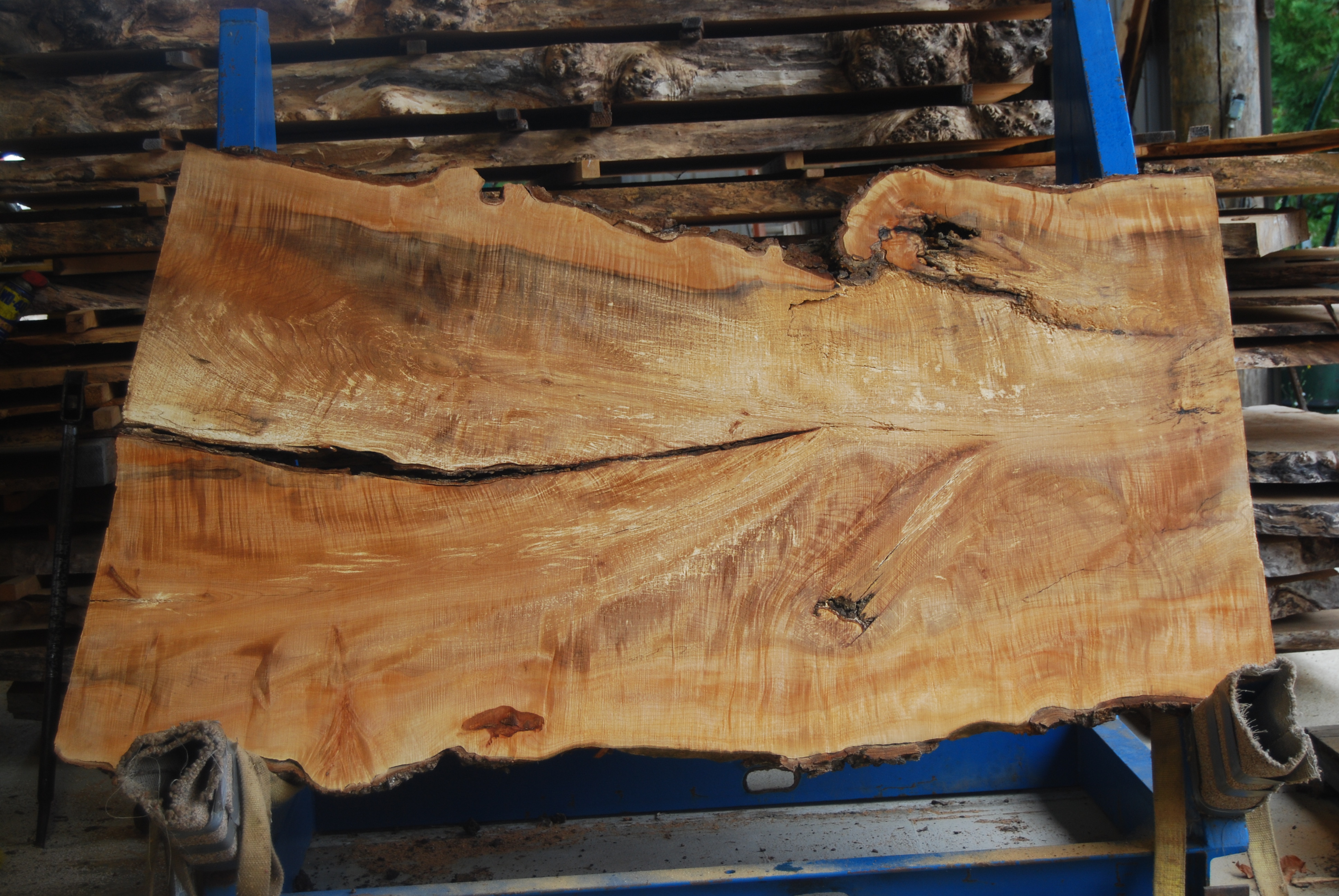 Cedar slab