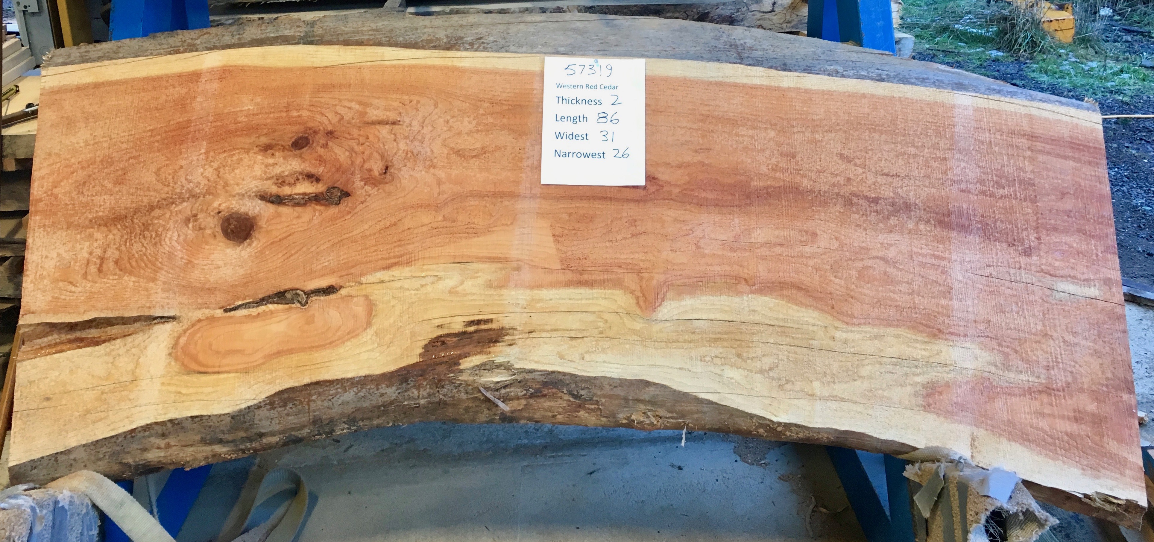 Cedar Slabs