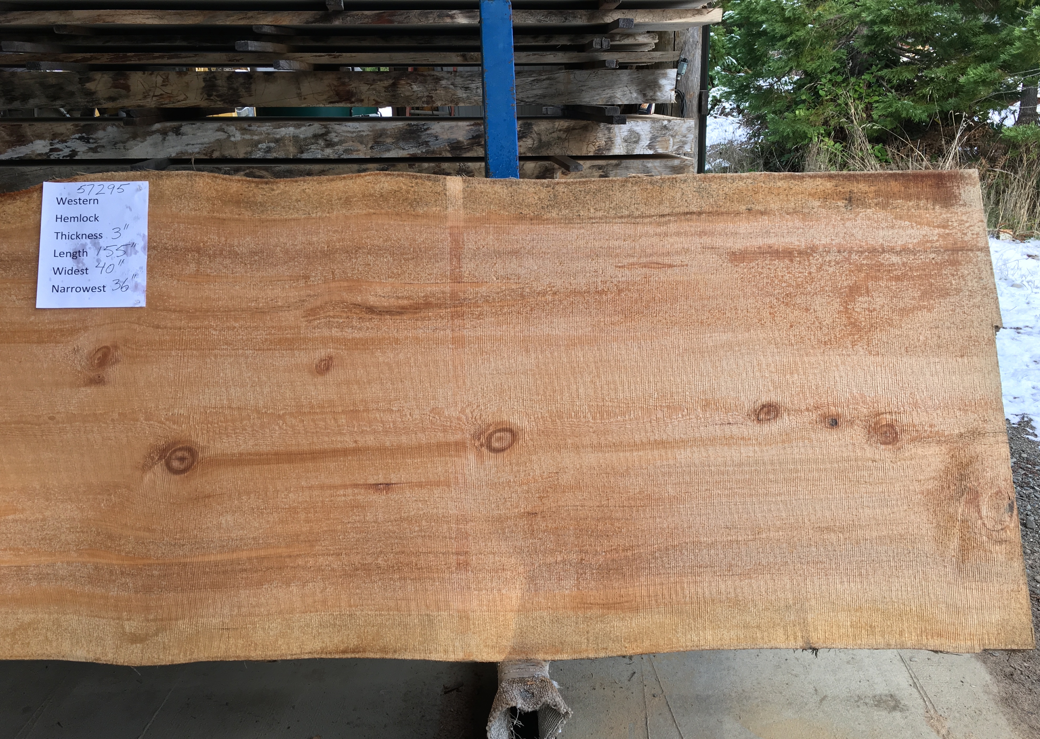 Hemlock Slab 57295b