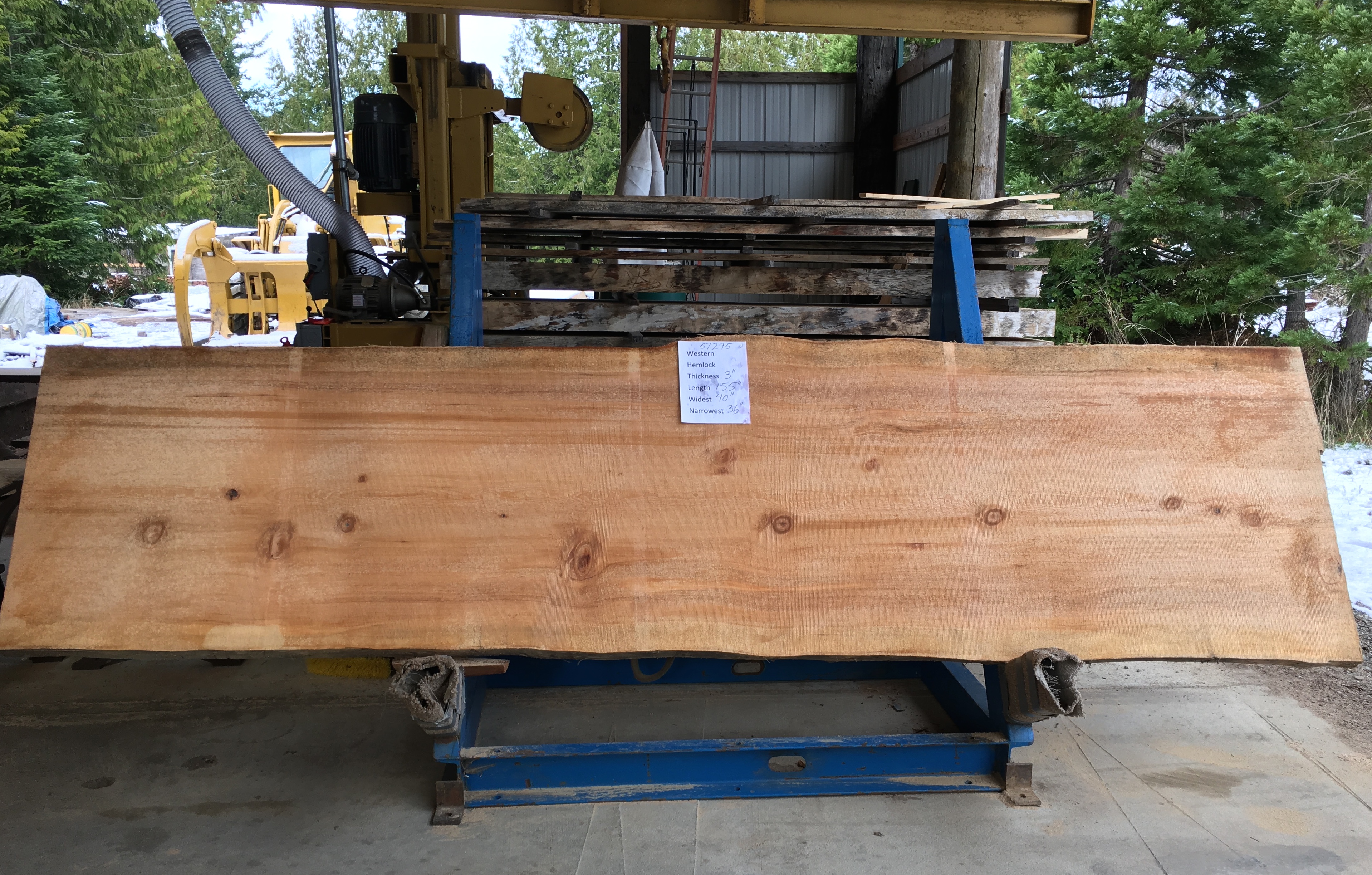 Hemlock Slab 57295