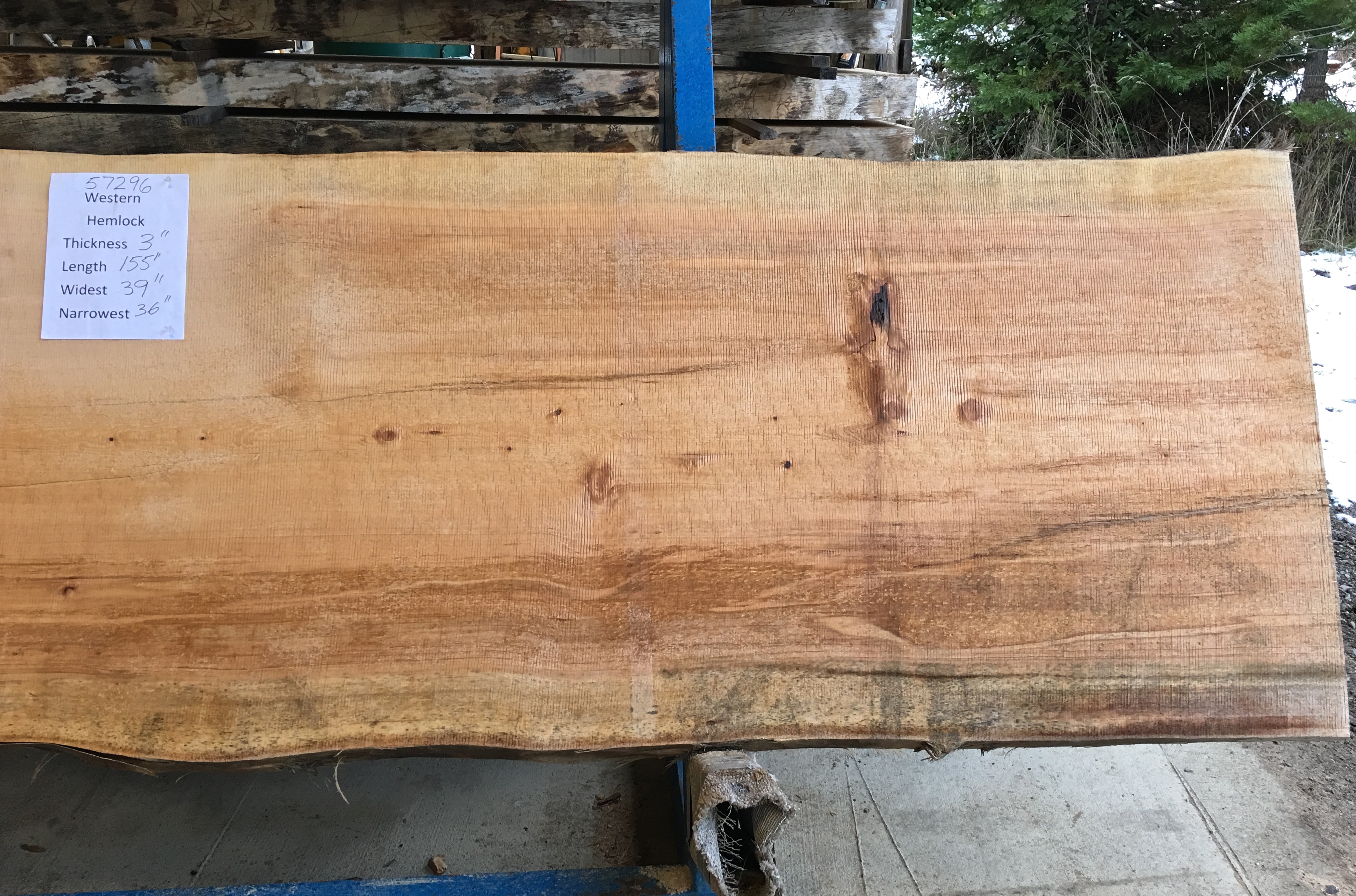 Hemlock Slab 57296b