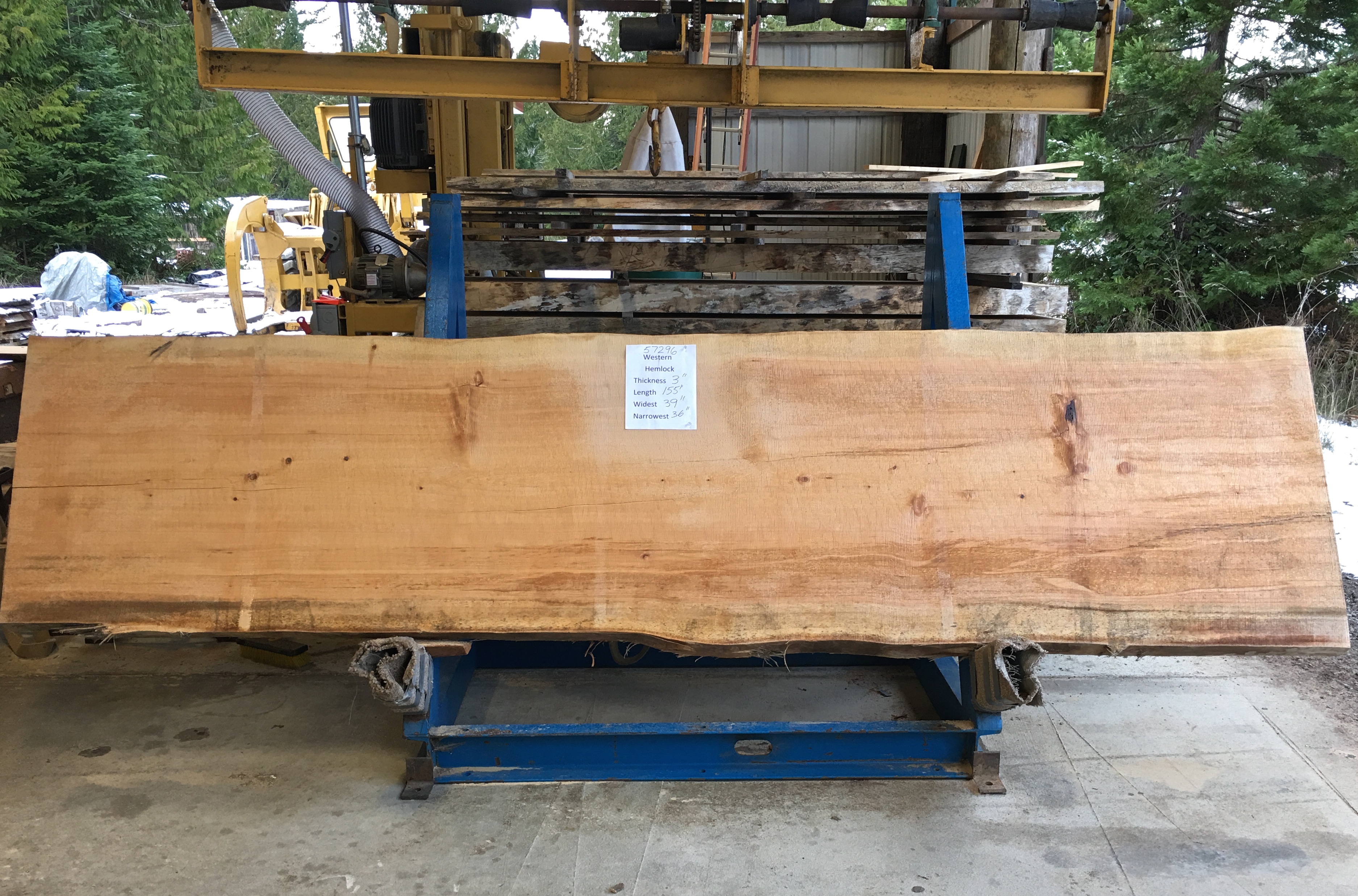 Hemlock Slab 57296