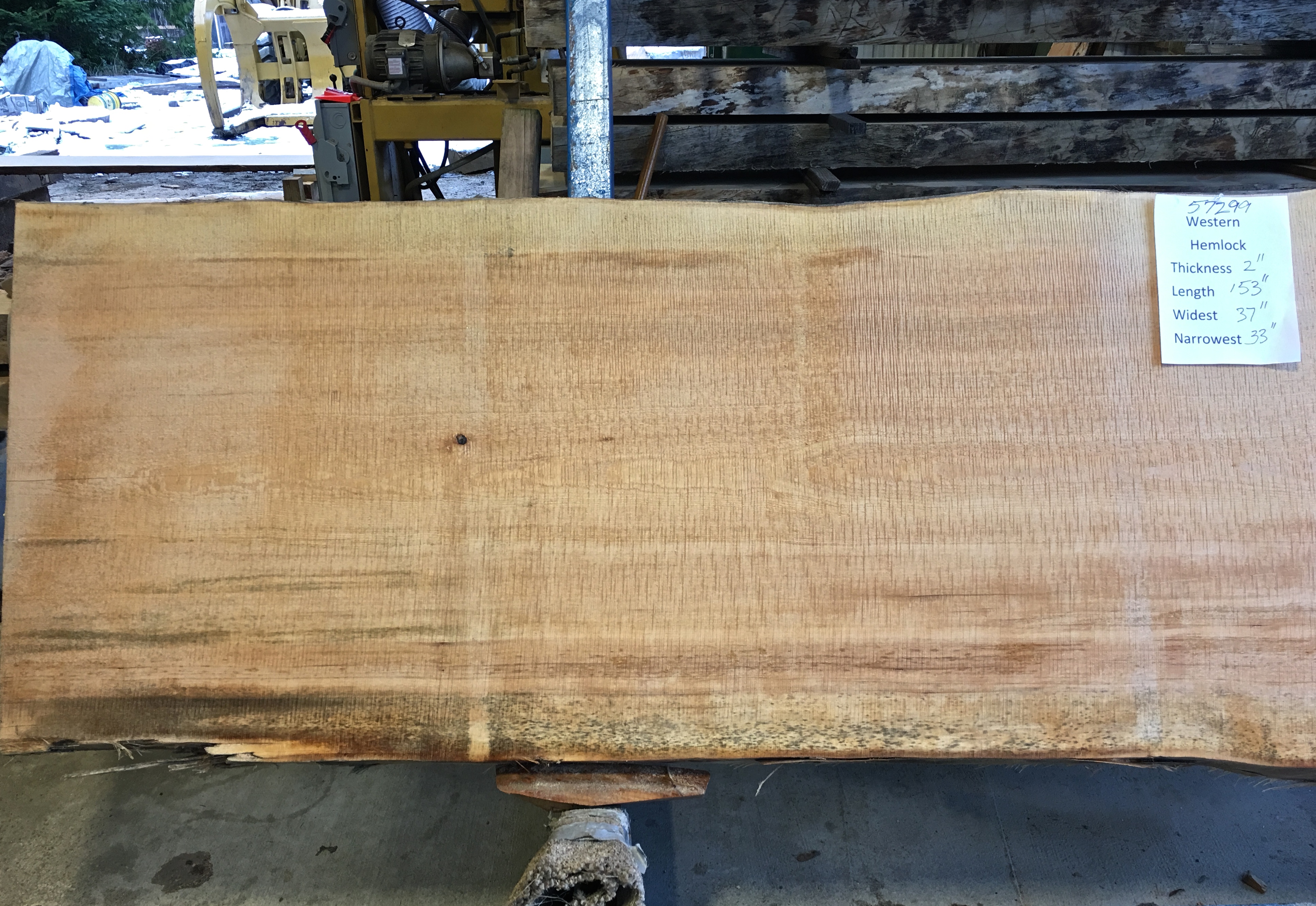 Hemlock Slab 57299a