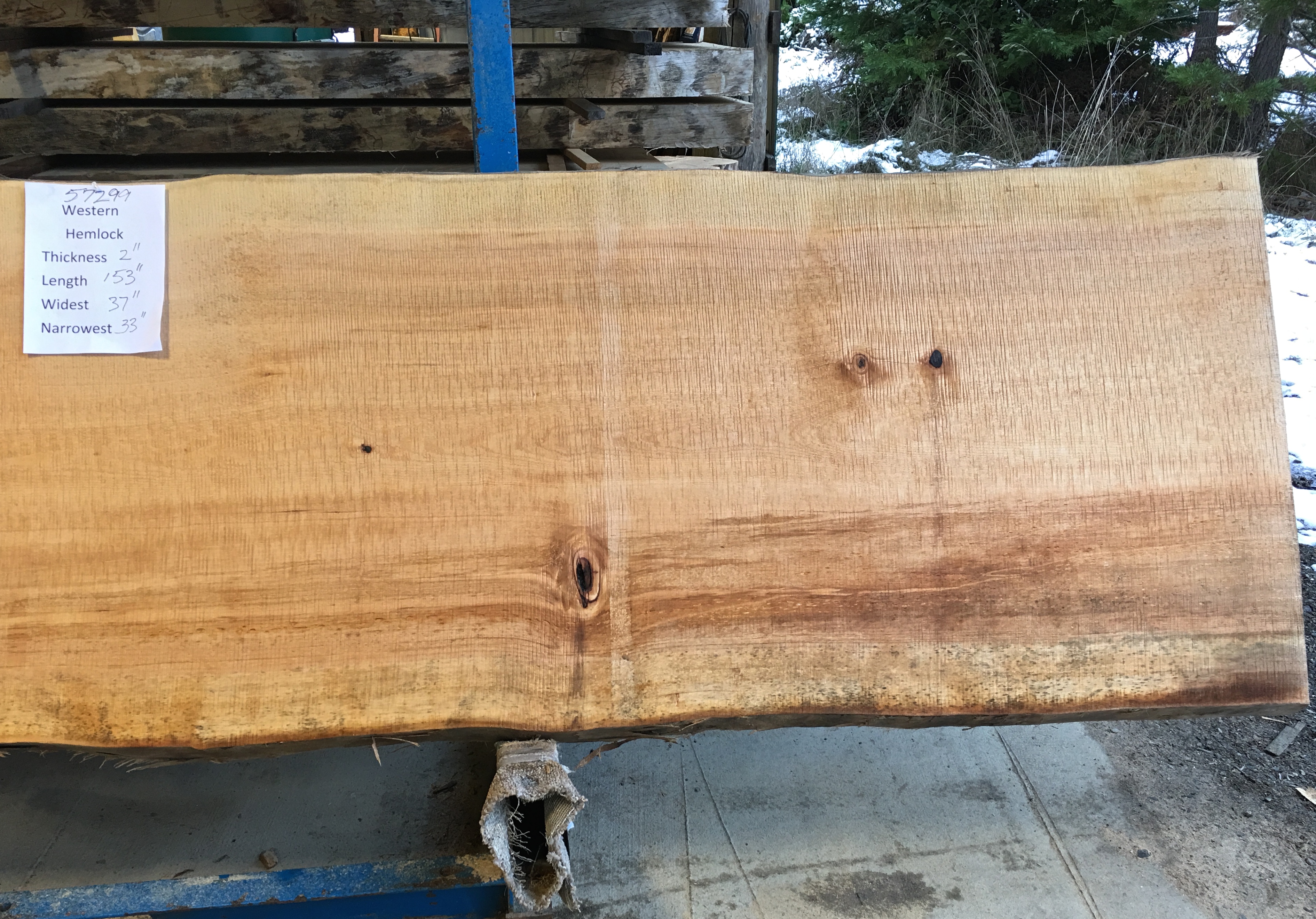 Hemlock Slab 57299b