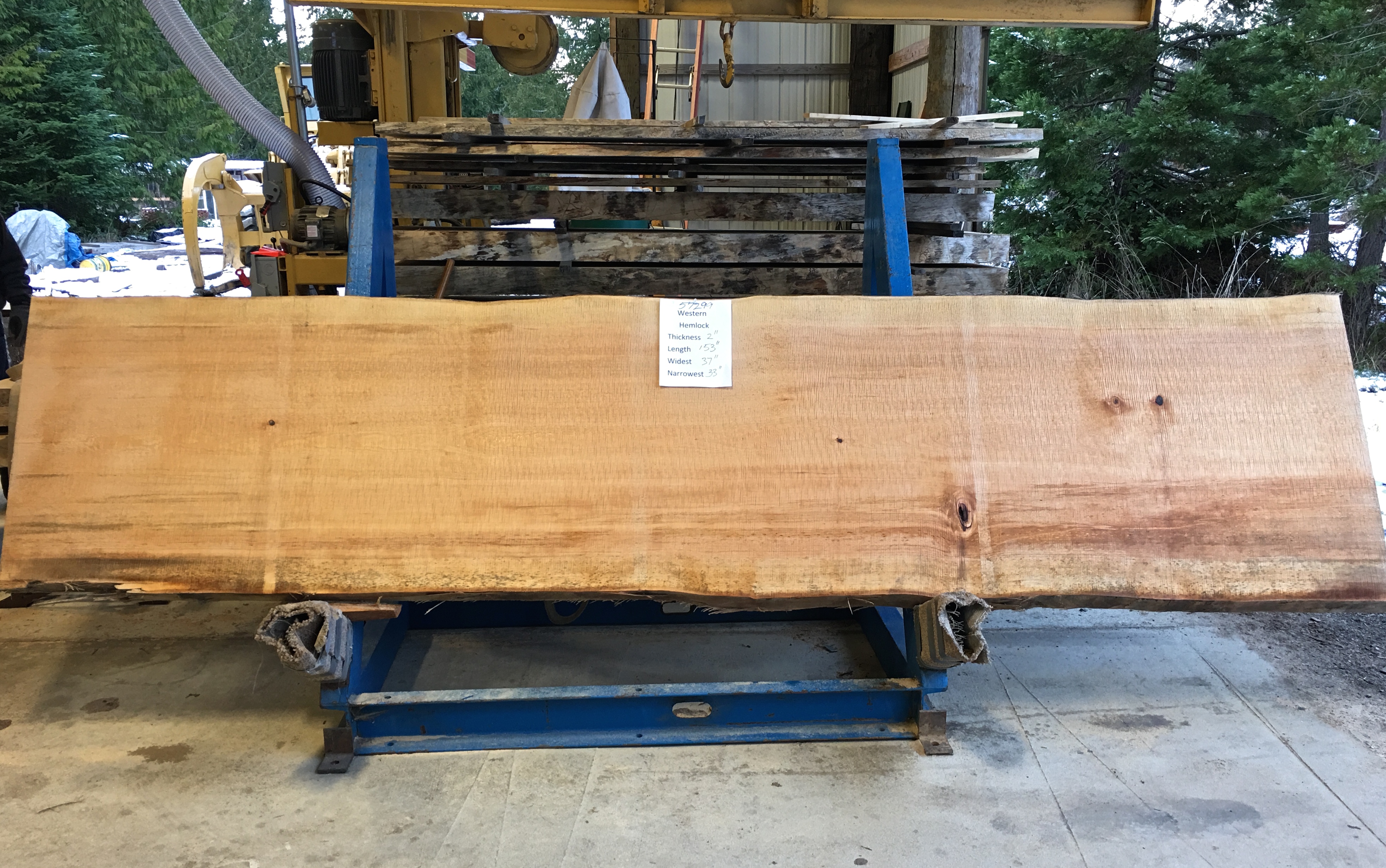 Hemlock Slab 57299