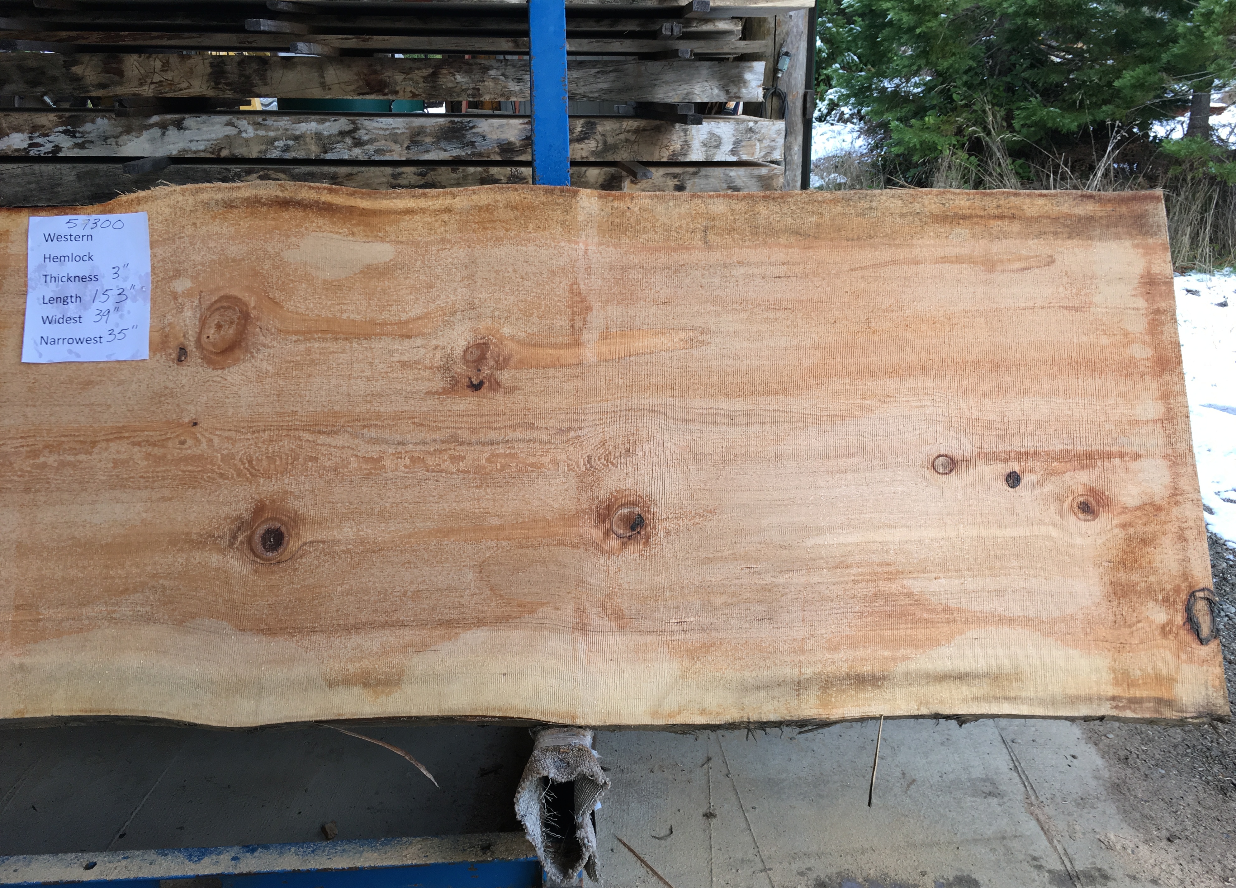 Hemlock Slab 57300b