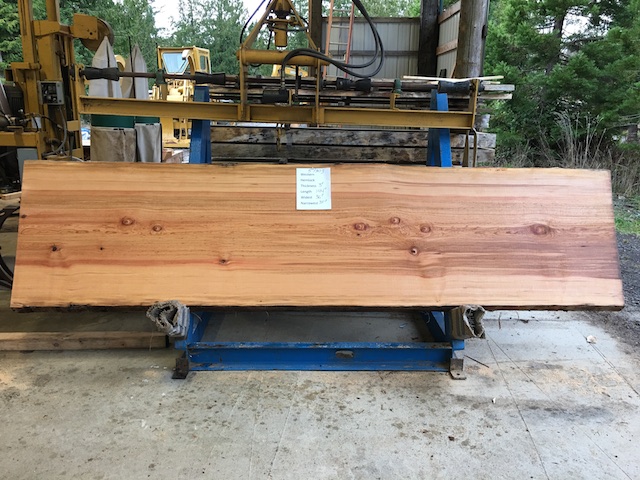 Hemlock Slab 57303