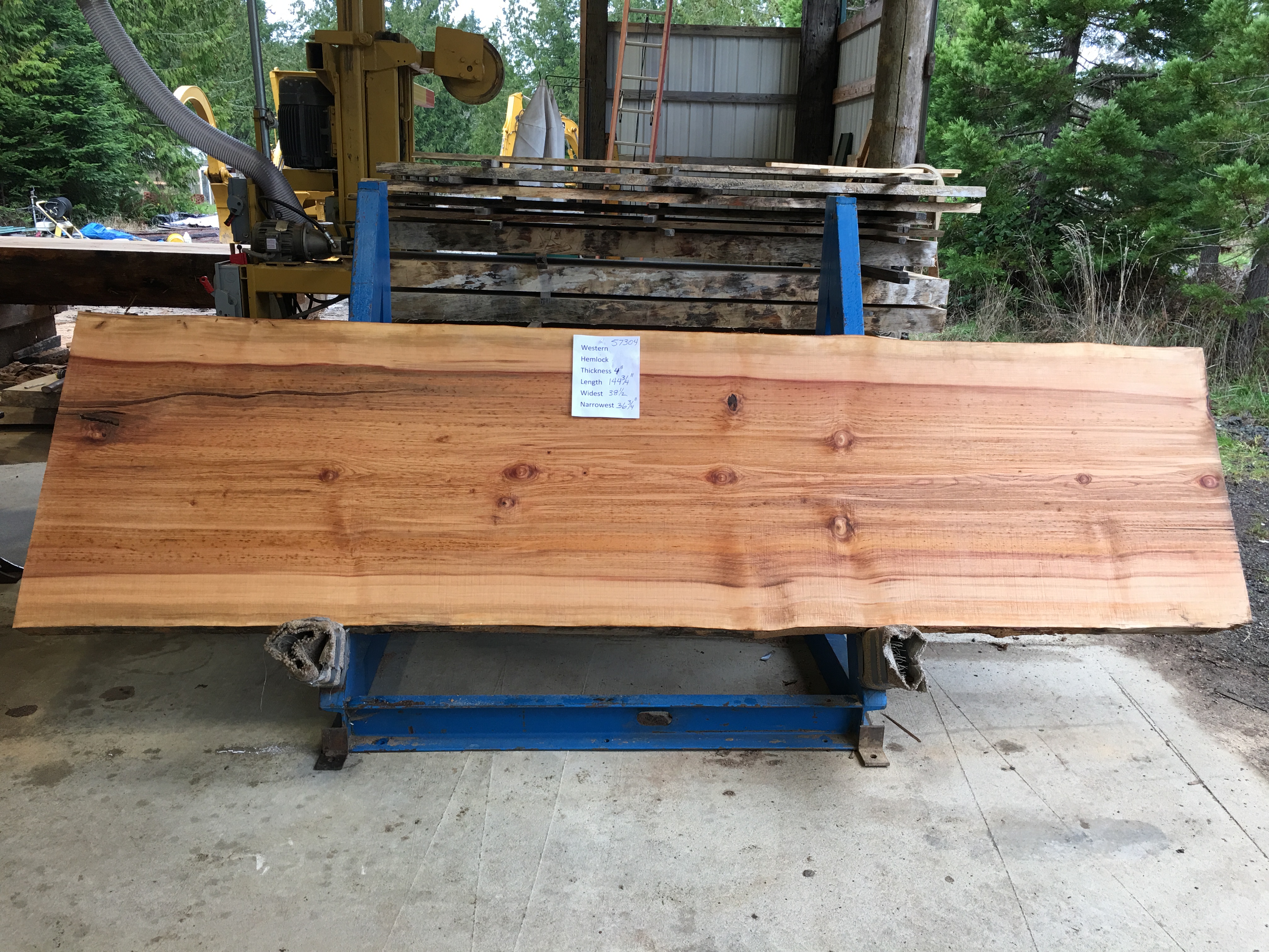 Hemlock Slab 57304