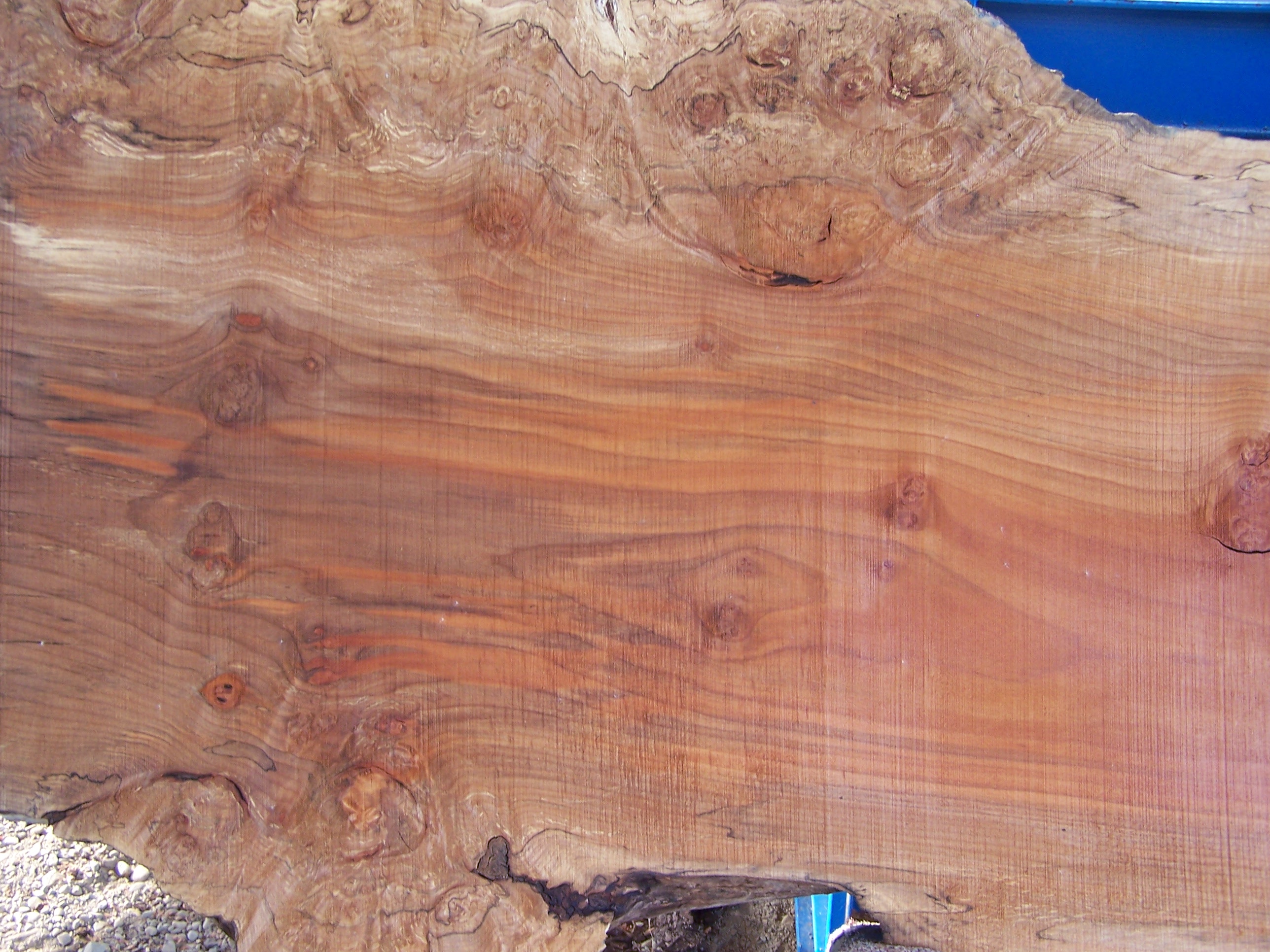 Maple Slab Close