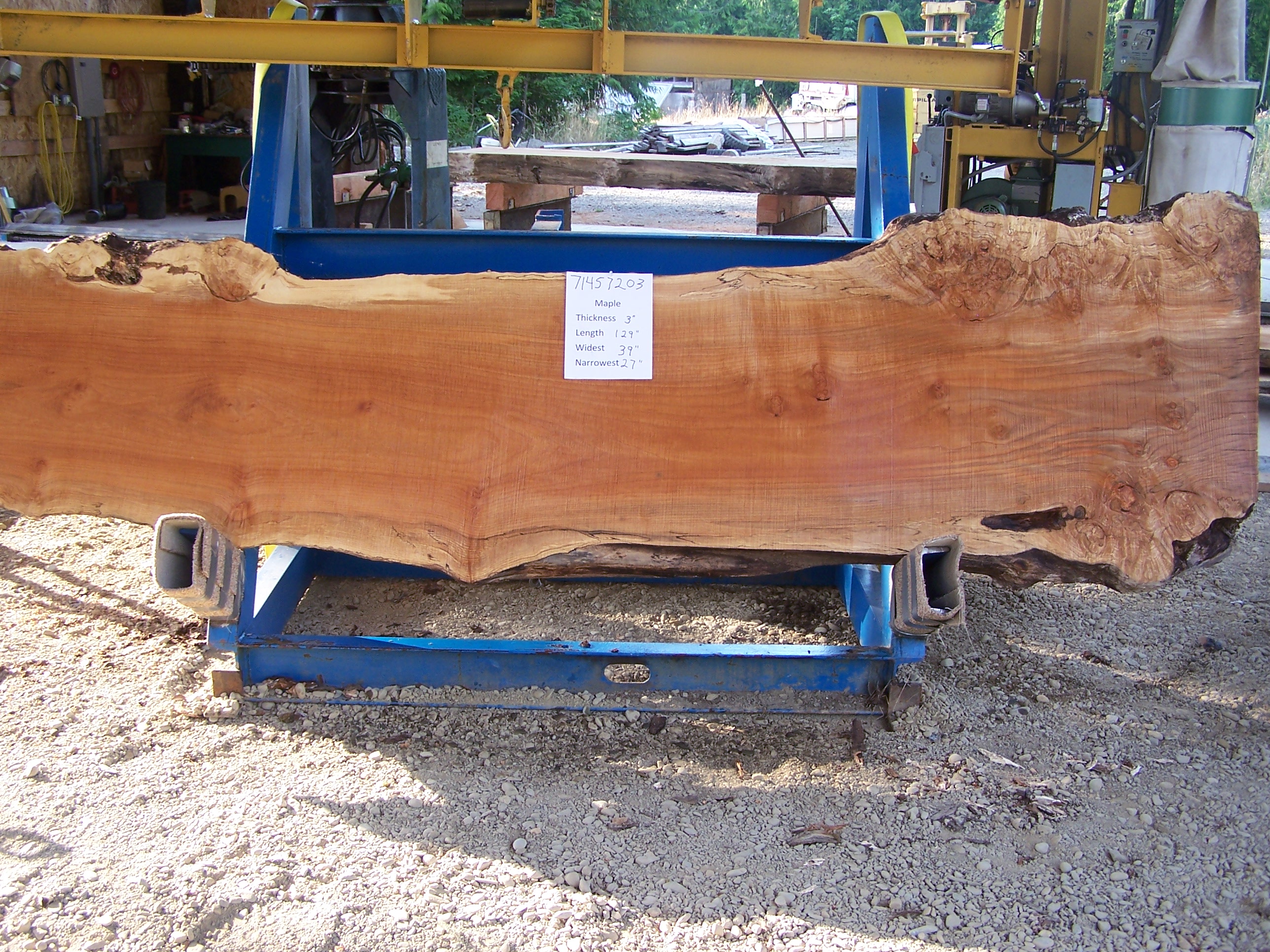 Maple Slab 57203