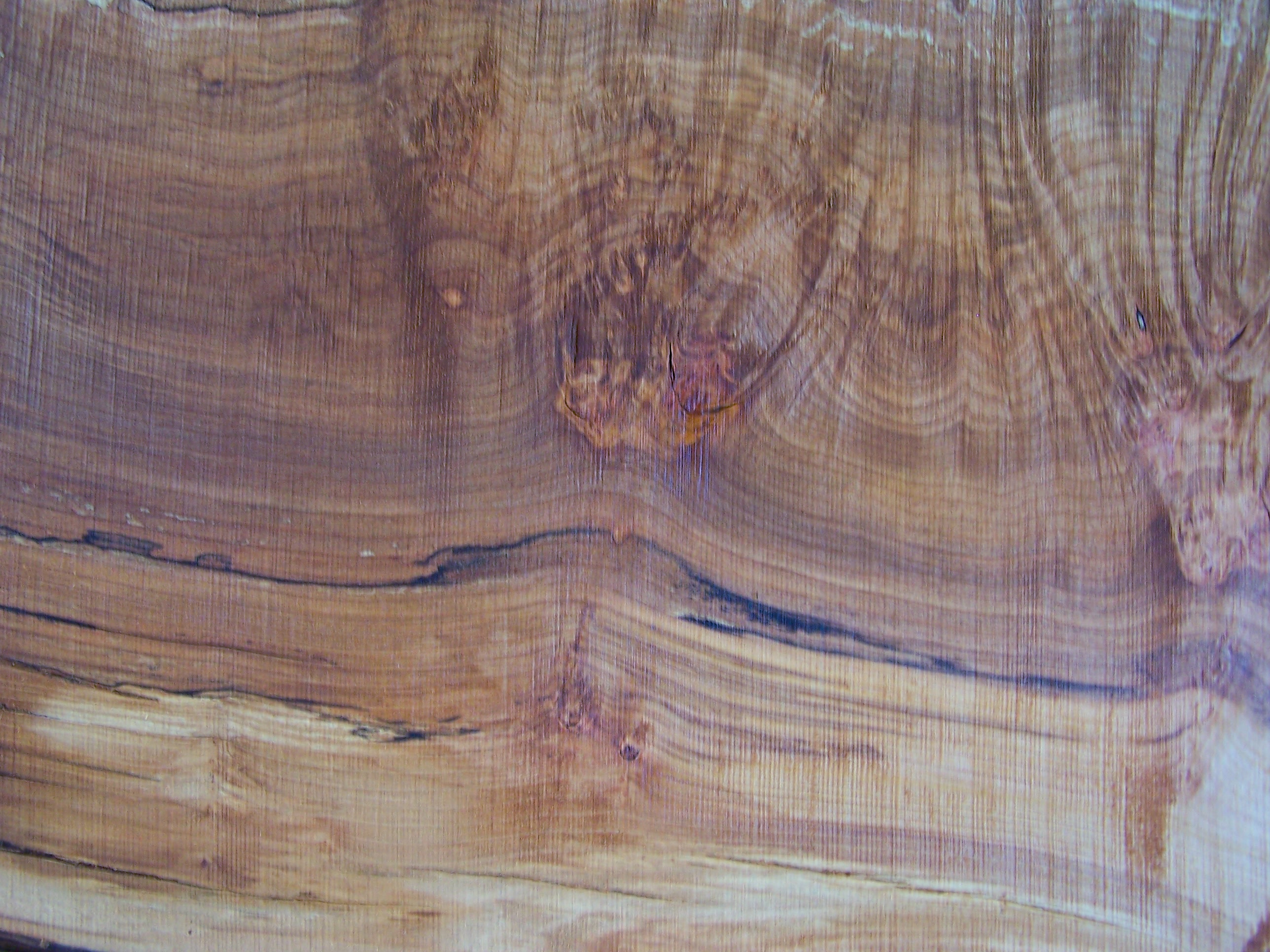 Maple Slab 57204 Close