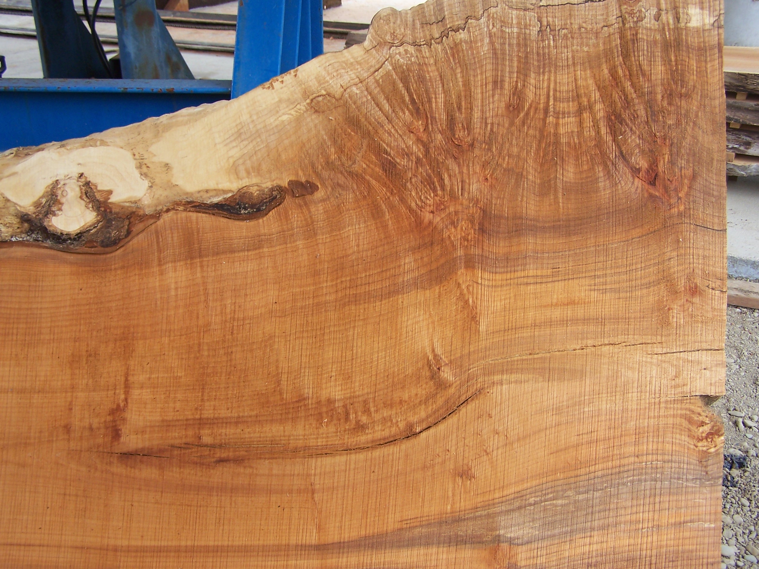 Maple Slab 57205 Close