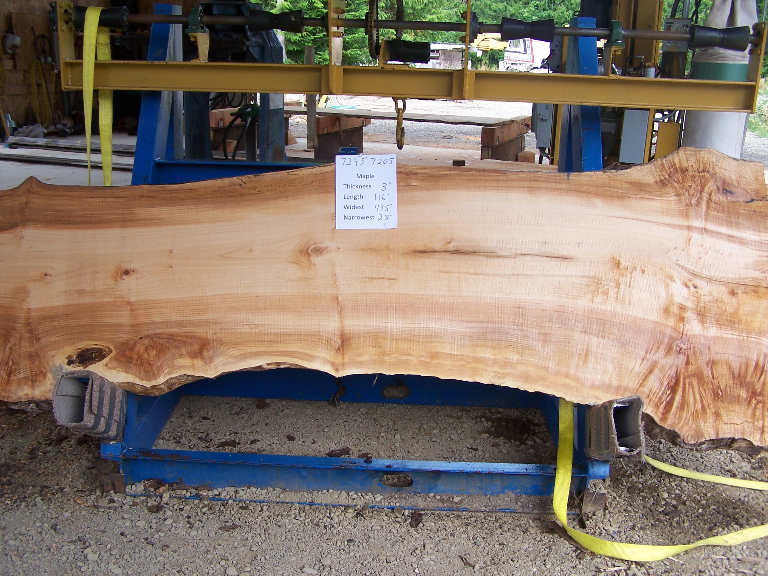 Maple Slab 57205