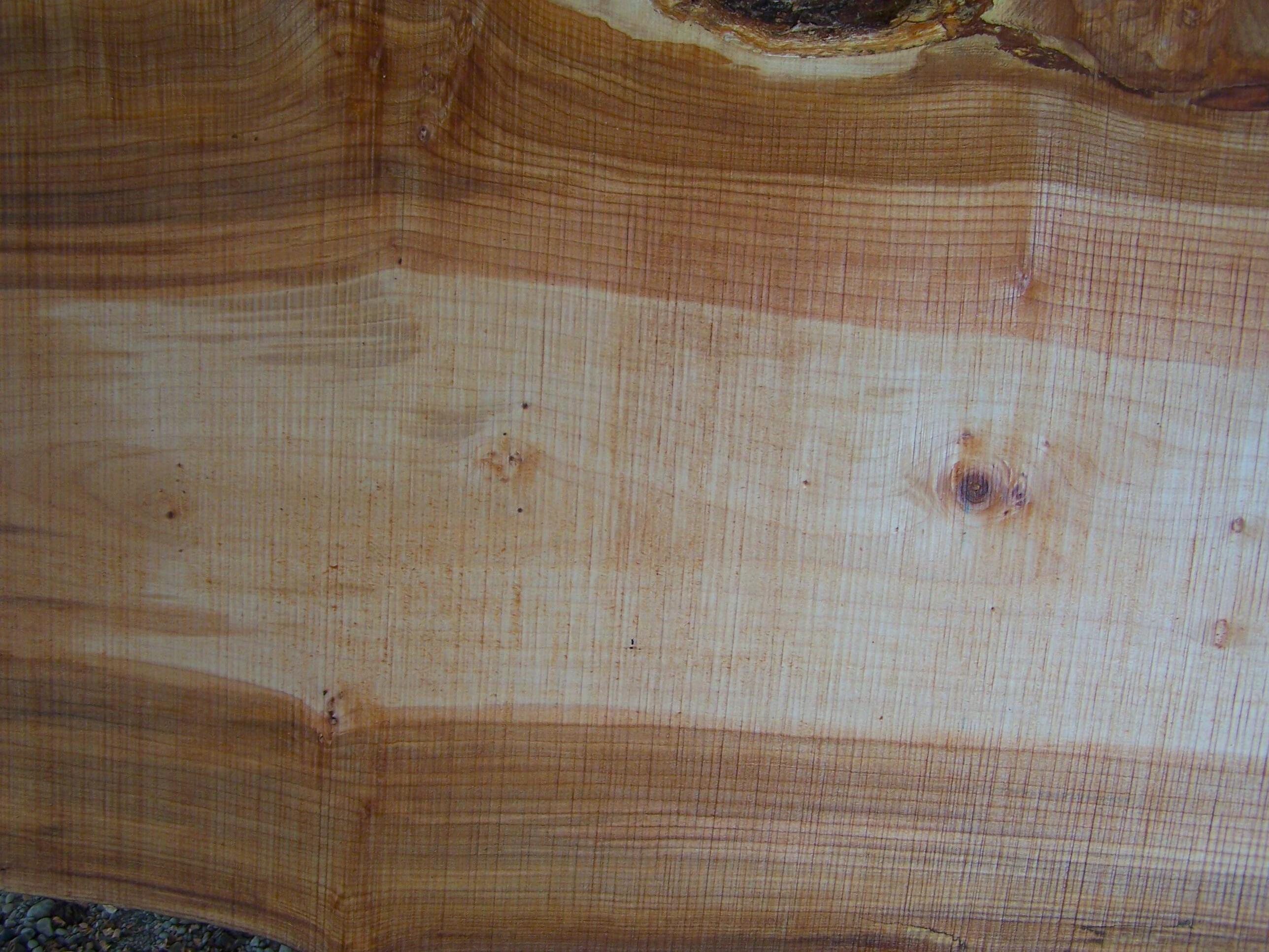 Maple Slab 57206 Close