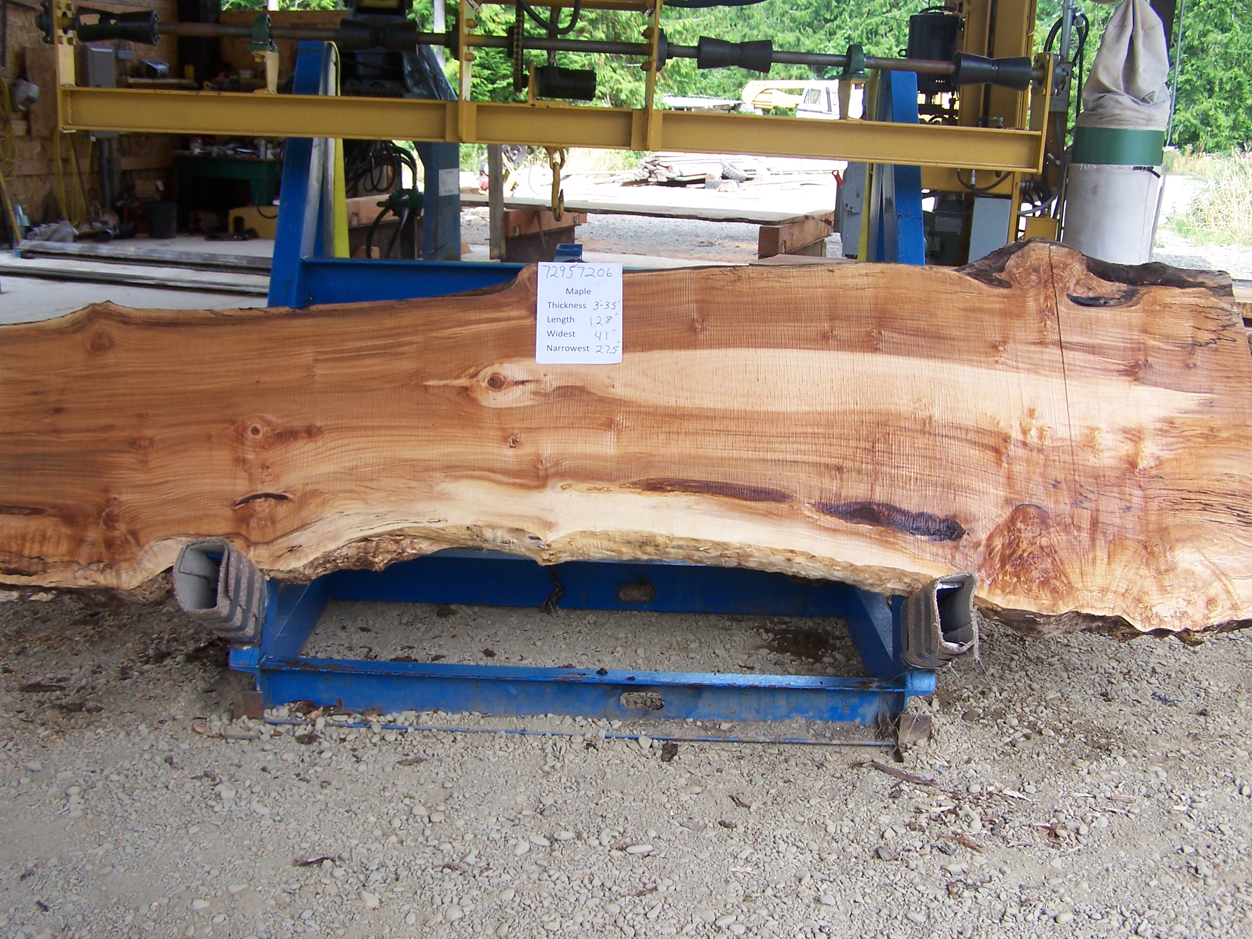 Maple Slab 57206