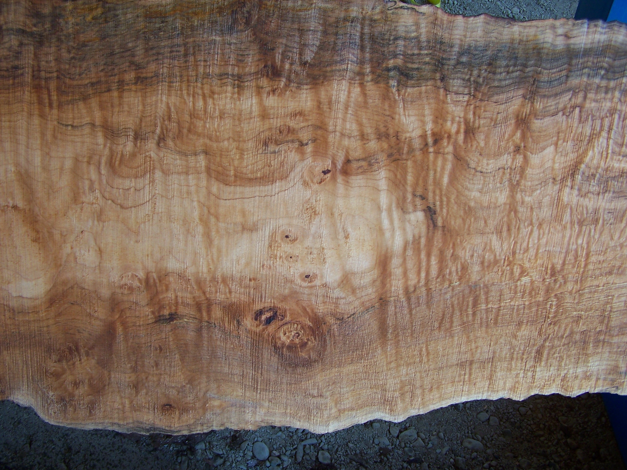 Maple Slab 57207 Close