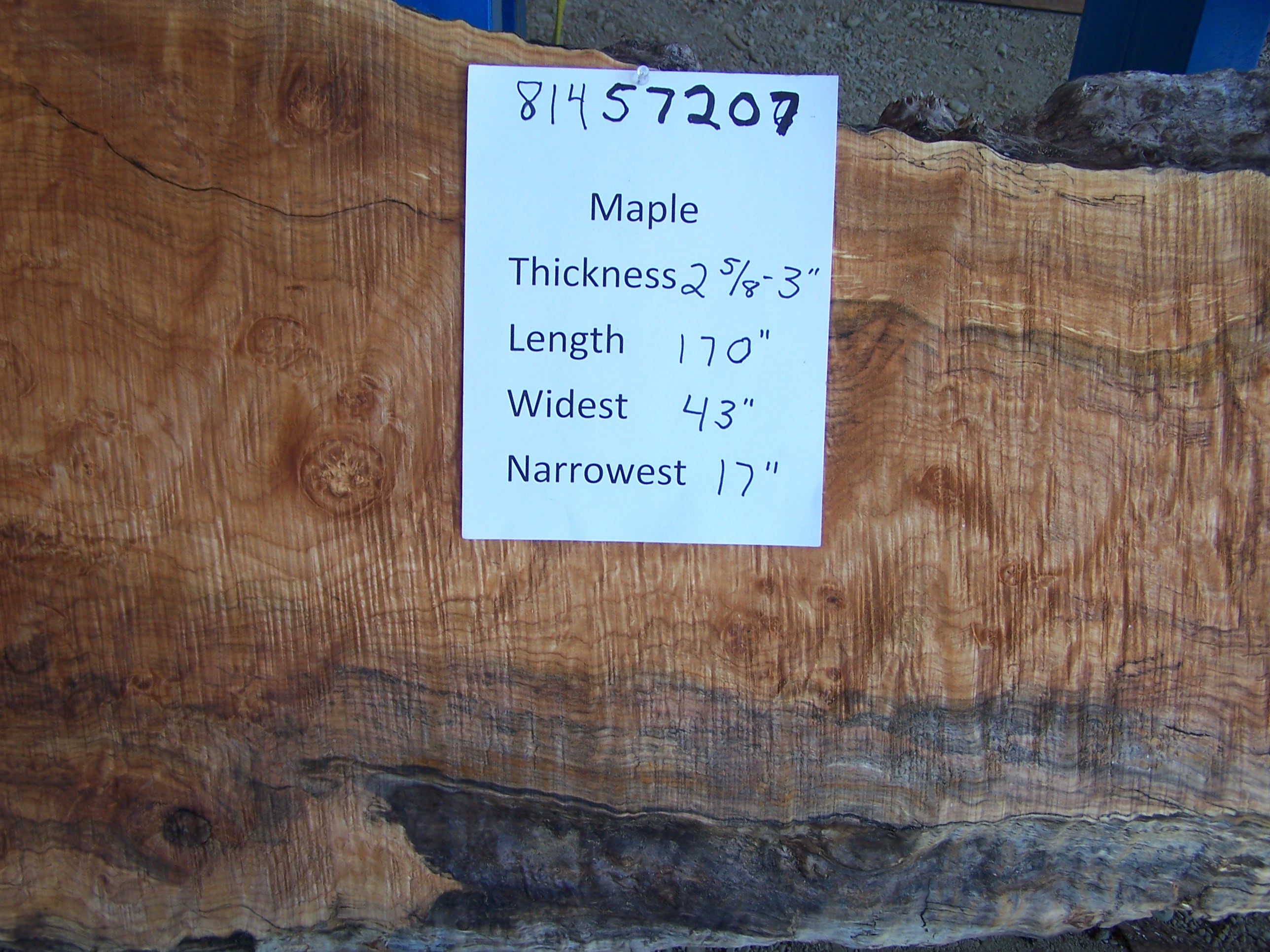 Maple Slab 57207