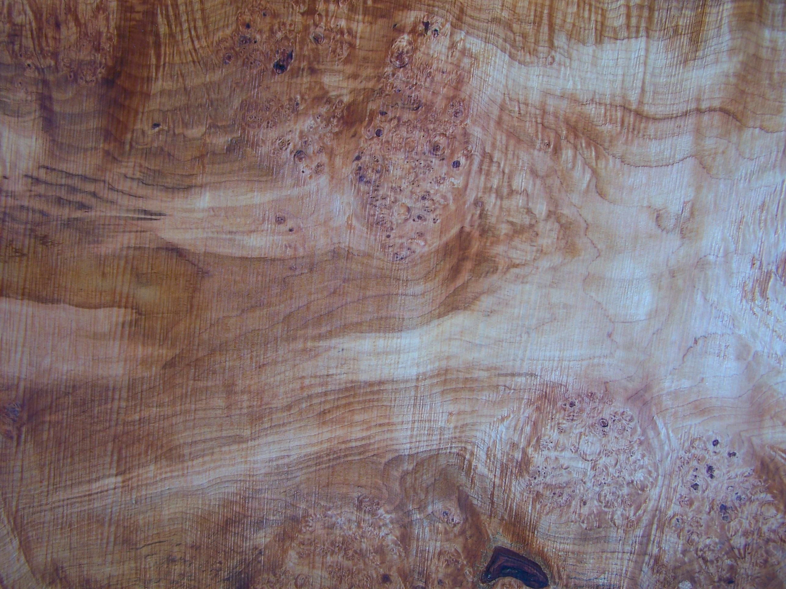 Maple Slab 57208 Close