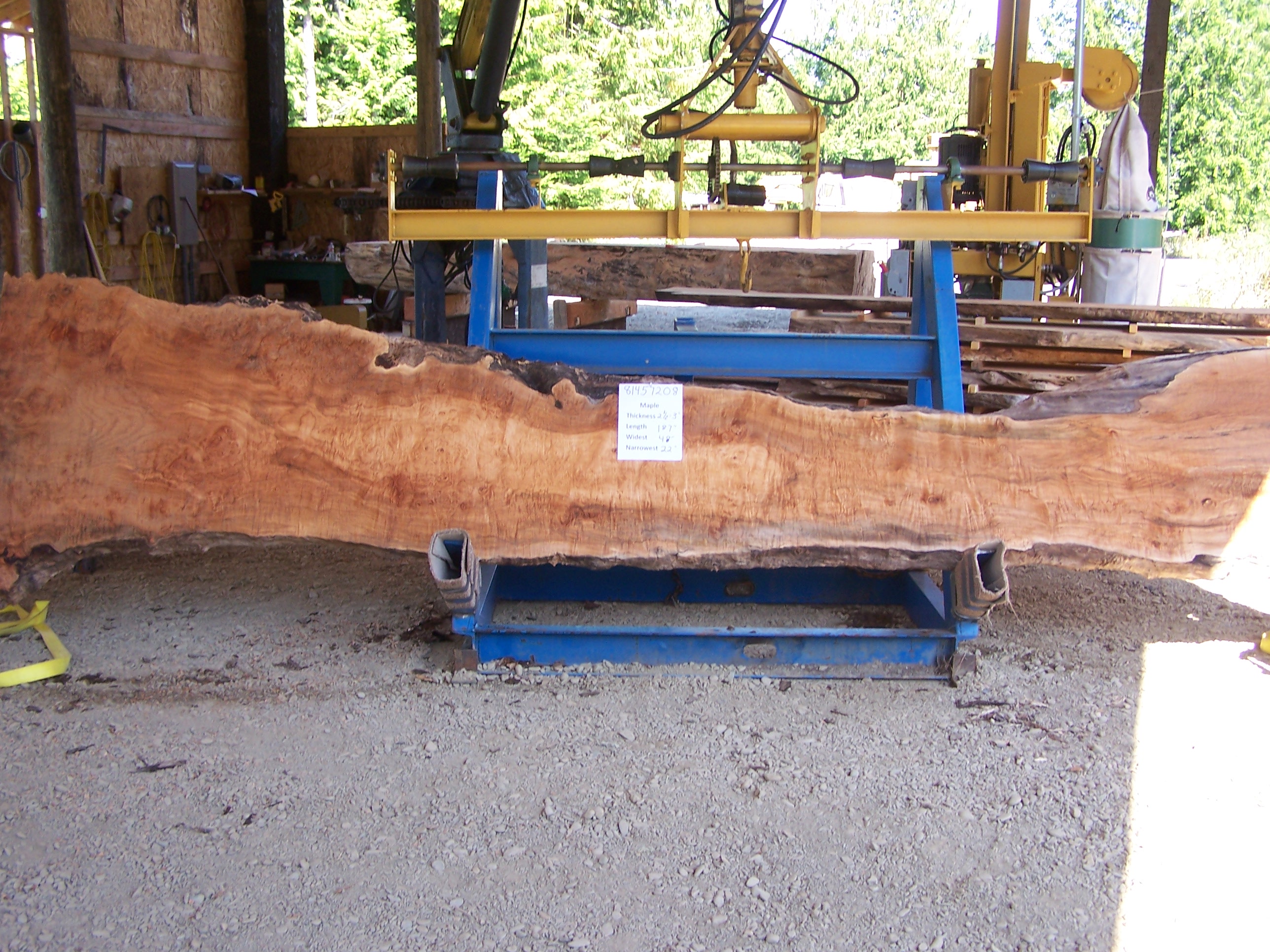 Maple Slab 57208