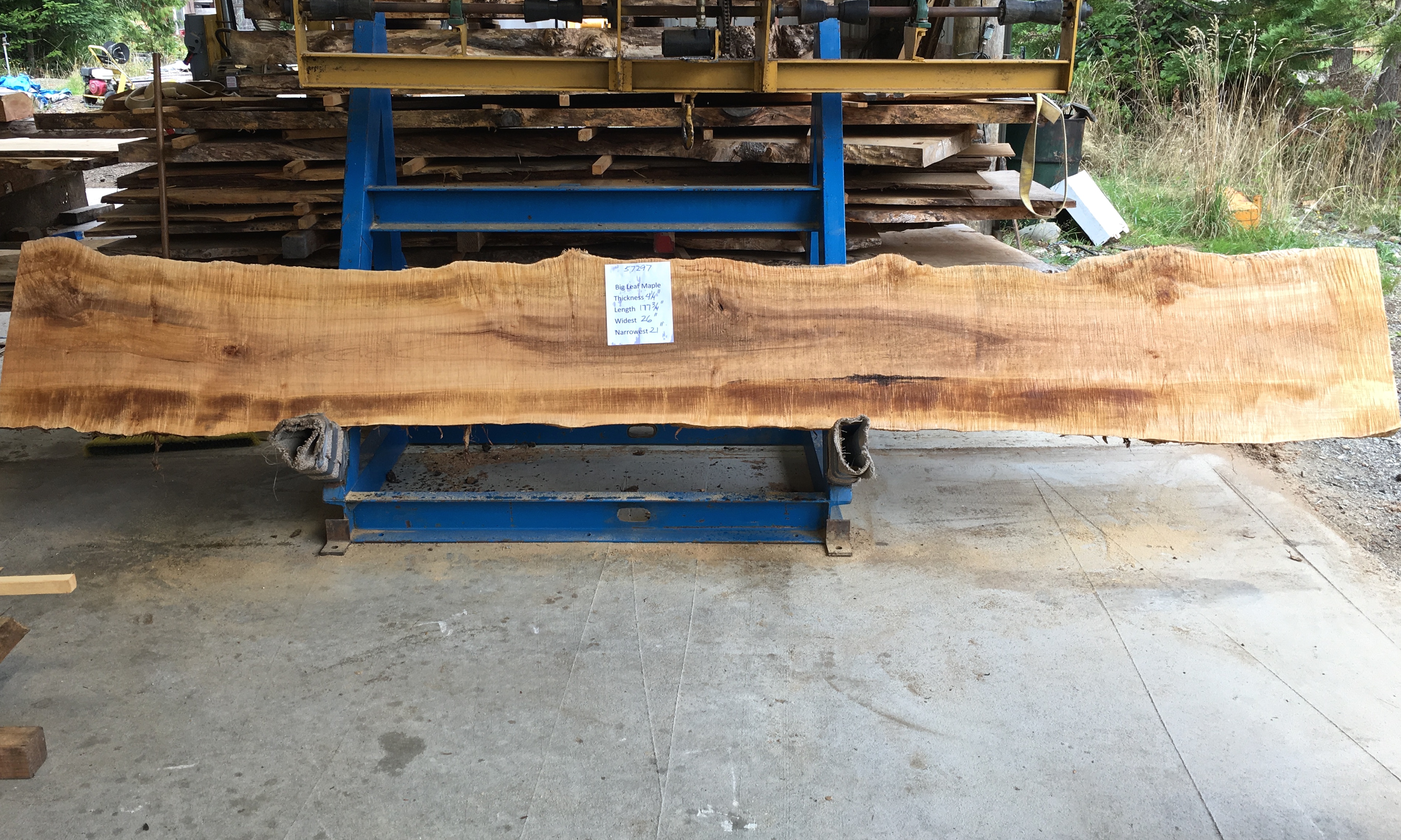 Maple Slab 57297